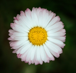 Similar image 21369556