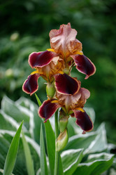 Similar image 21369557