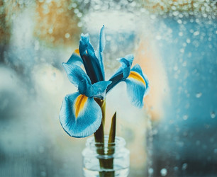 Similar image 21369564