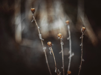 Similar image 21369566