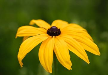 Similar image 21369573