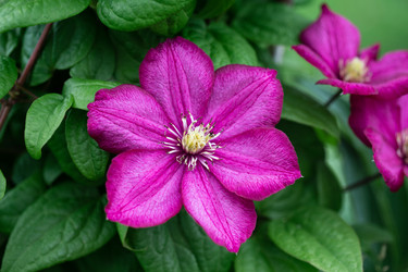 Similar image 21369575