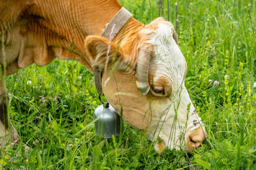 Similar image 21349987