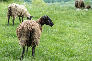 Similar image 21358164