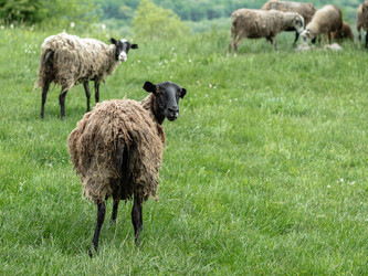 Similar image 21348080