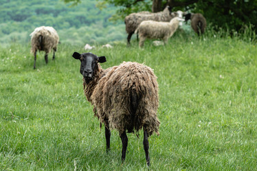 Similar image 21348092