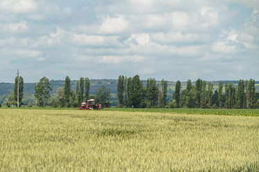 Similar image 21358033