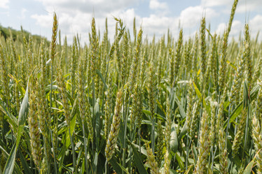 Similar image 21358035