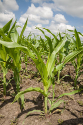 Similar image 21358036