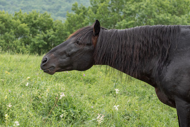 Similar image 21358038