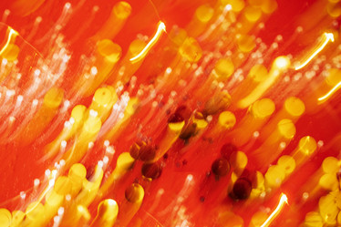 Similar image 21347530