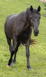 Similar image 21352617