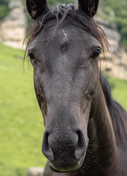 Similar image 21349972