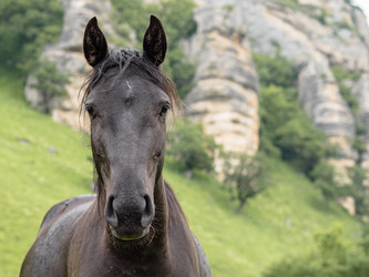 Similar image 21348103