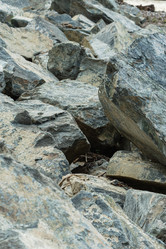 Similar image 21349973