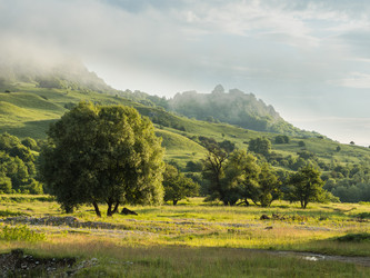 Similar image 21358043