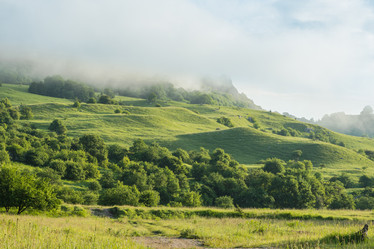 Similar image 21358044