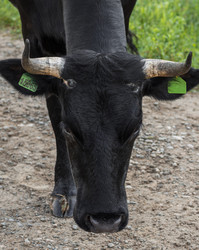 Similar image 21349975