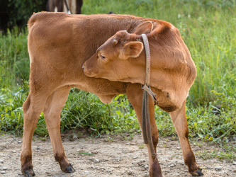 Similar image 21356524