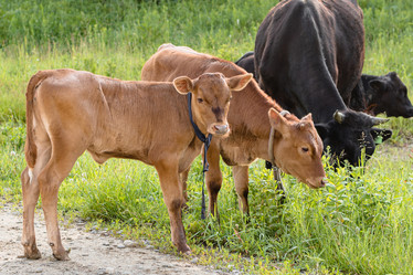 Similar image 21348112