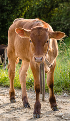 Similar image 21352619