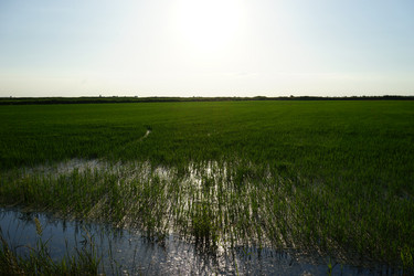 Similar image 21347594