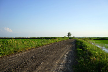 Similar image 21347595