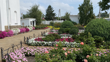 Similar image 21347657