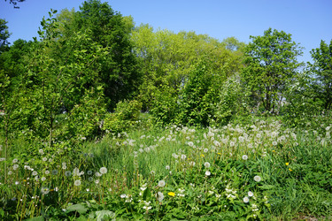 Similar image 21347601