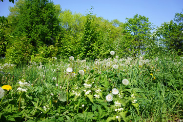 Similar image 21347602