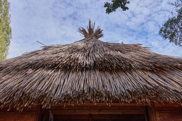 Similar image 21347759