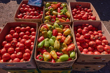 Similar image 21347774