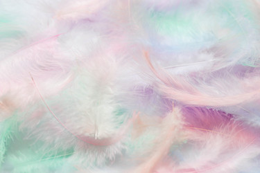 Similar image 21357722