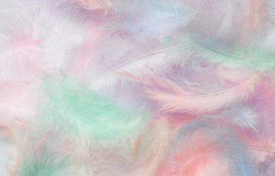 Similar image 21357723