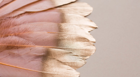 Similar image 21347551