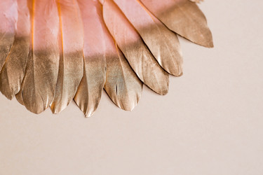 Similar image 21357725