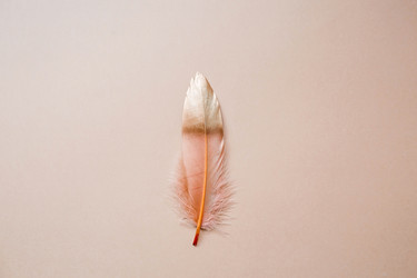 Similar image 21354166