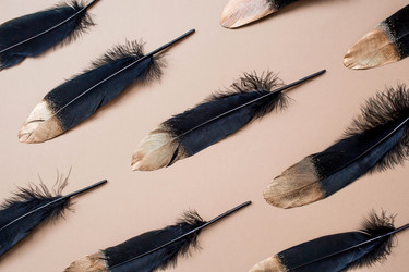 Similar image 21357726