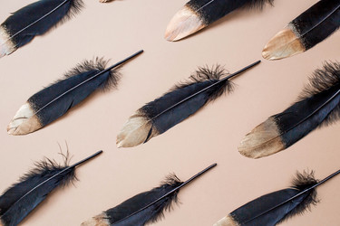 Similar image 21347554