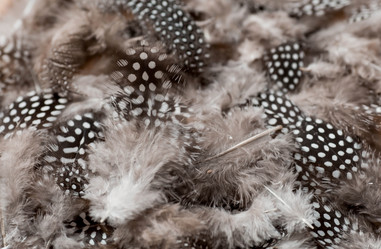 Similar image 21347555