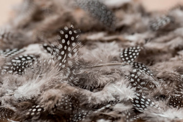 Similar image 21354167