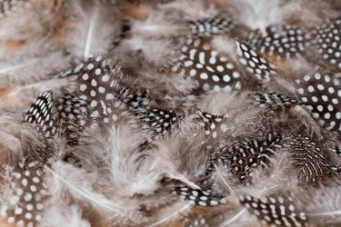 Similar image 21357728