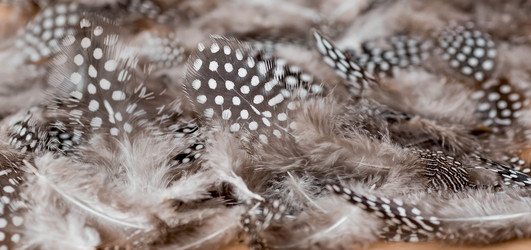 Similar image 21347556