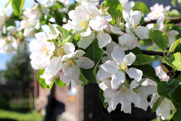 Similar image 21347616