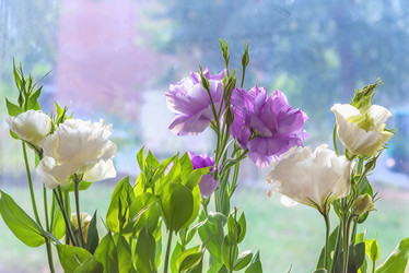 Similar image 21347851