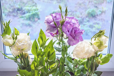 Similar image 21347852