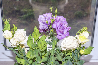 Similar image 21347853