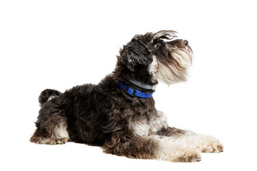 Similar image 21349239