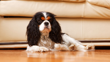 Similar image 21349241