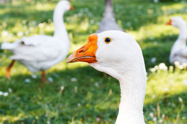 Similar image 21349244